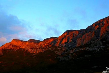 Ste Victoire au petit matin