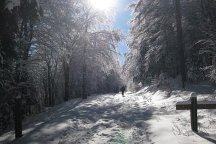 Raquettes en Cévennes