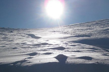 premières neiges  massif de l'Aigoual