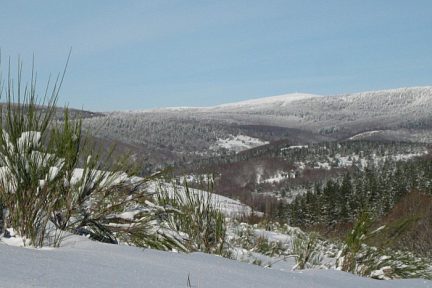 L'Observatoire, point culminant du massif de l'Aigoual