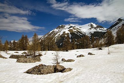 Mont Pelat depuis le lac d'Allos