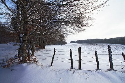 Randonnée enneigée sur le sentier botanique de Laguiole, Aubrac