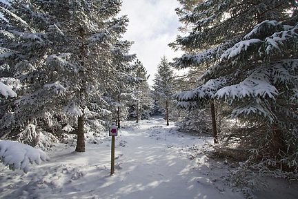 Circuit de randonnée du sentier botanique de Laguiole