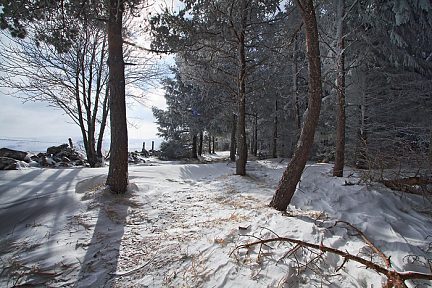 Neige sur le plateau de l'Aubrac