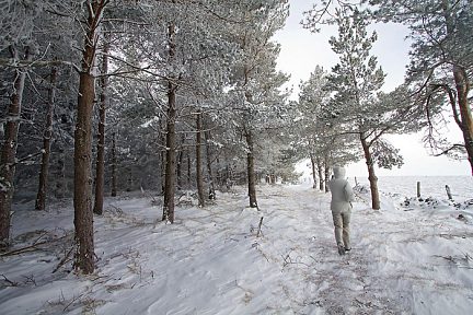 La neige sur le sentier botanique de Laguiole, plateau de l'Aubrac
