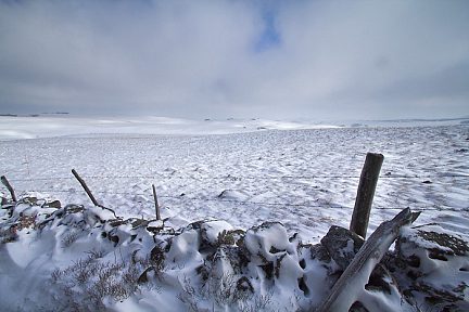 Neige et vent sur le plateau de l'Aubrac
