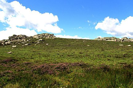 Randonnée sur le plateau de l'Aubrac vers le col de Bonnecombe