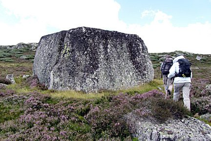 Randonnée en groupe sur l'Aubrac, festival de la randonnée