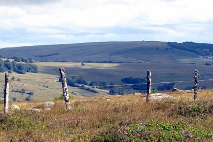 Randonnée sur Aubrac