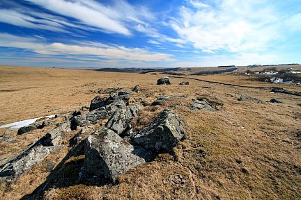 Paysage typique du plateau de l'Aubrac