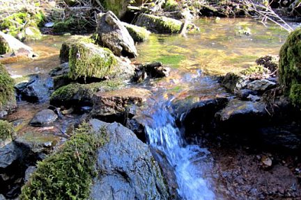 Balade au Domaine de Combelles, près de Rodez