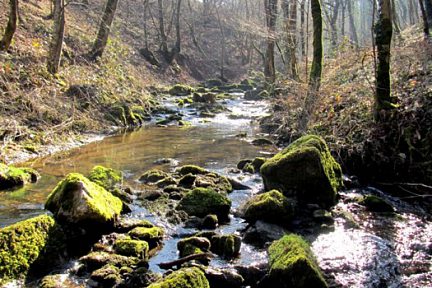 Balade depuis le Monastère sous Rodez jusqu'à Combelles