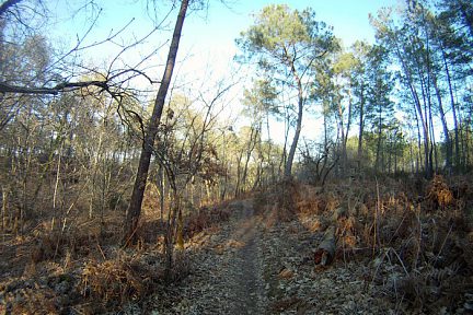 Les sentier VTT de Saint Médard en Jalles