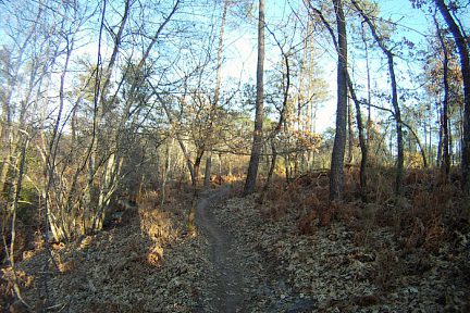 Sentiers VTT de Saint-Médard-en-Jalles, près de Bordeaux