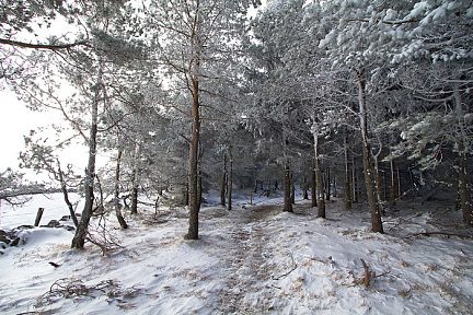 Randonnée en Aubrac avec la neige