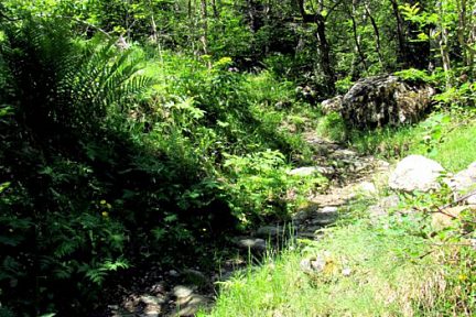 Montée lors de la randonnée au Lac du Lauvitel, Massif des Ecrins