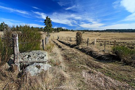 Randonnée en Aubrac : paysages type de ce plateau fantastique