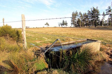 Randonnée en boucle d'Aumont-Aubrac à La Chaze-de-Peyre, Lozère