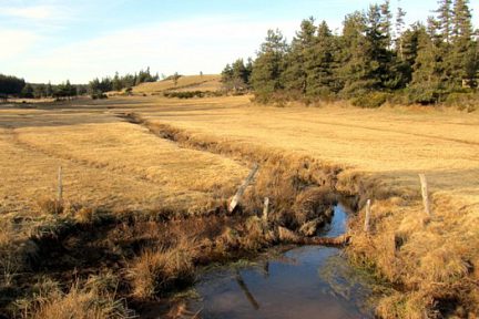 Randonnée sur le plateau de l'Aubrac en Lozère, début mars