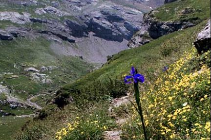 Le Taillon et le Doigt de la Fausse Brèche