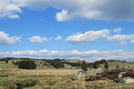 Randonnée sur l'Aubrac lozérien, près du col de Bonnecombe