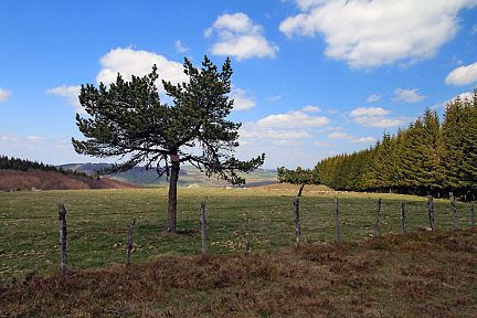 Randonnée en Lozère depuis le col de Bonnecombe