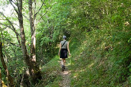 Début de la randonnée dans la forêt sur le tour de Sainte Croix du Mont