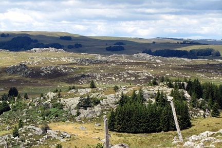 Randonnée en Aubrac, près du col de Bonnecombe, Lozère