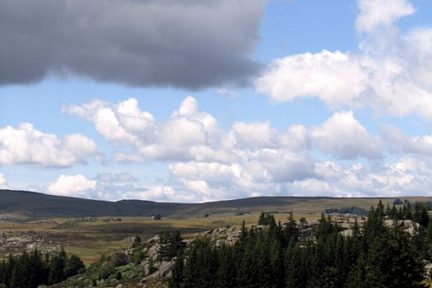 Aubrac côté Lozère