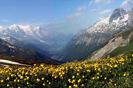 Au col de Balme 