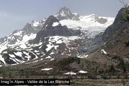 La Lex Blanche