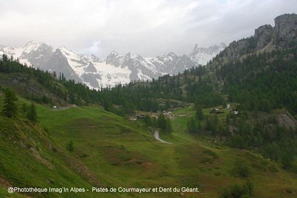 Pistes de Courmayeur avec la Dent du Géant en fond