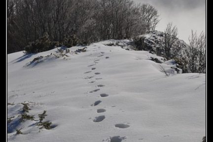 Le soum d'Andorre