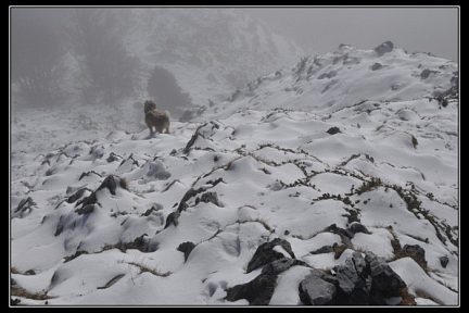 Le soum d'Andorre