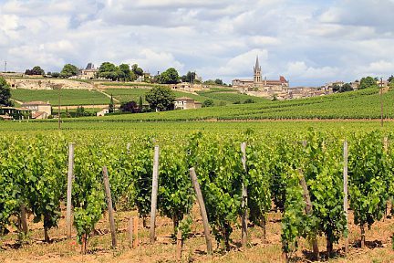 Randonnée autour de Saint-Emilion