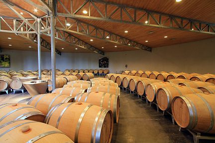 Le vin dans les tonneaux à Saint-Emilion