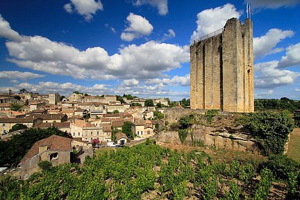 Le donjon dit Château du Roy