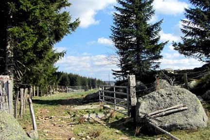 Plateau de l'Aubrac côté Lozère