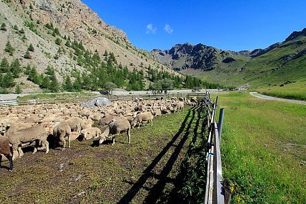 Début de la randonnée au lac de l'Eychauda