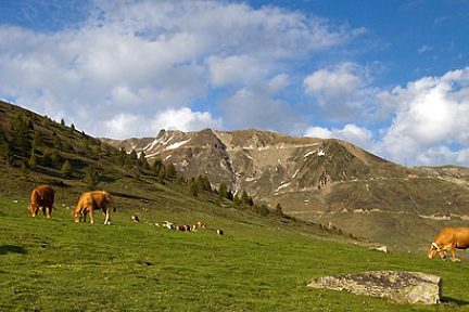 Vallée de Barèges en montant vers le col du Tourmalet