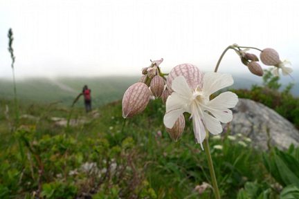 Randonnée Puy Mary, volcan d'Auvergne