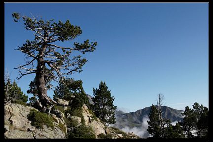 La coume de Portheil