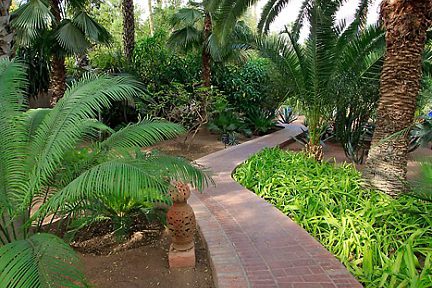 Balade au Jardin Majorelle à Marrakech