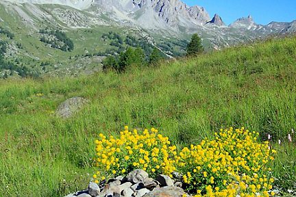 Randonnée vers le lac Laramon dans le Queyras