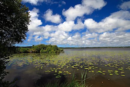 Balade à l'étang de Léon