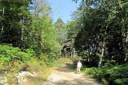 Randonnée en forêt en Viadène, près de Montézic et de son barrage