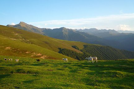 Montaigu depuis la cabane du Couret