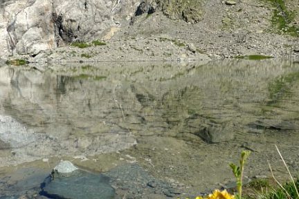 Glacier Blanc et lac Tucket dans les Alpes