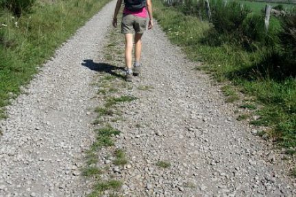Randonner sur Aubrac par beau temps c'est si bien