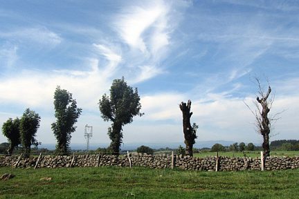 L'Aubrac près d'Alpuech
